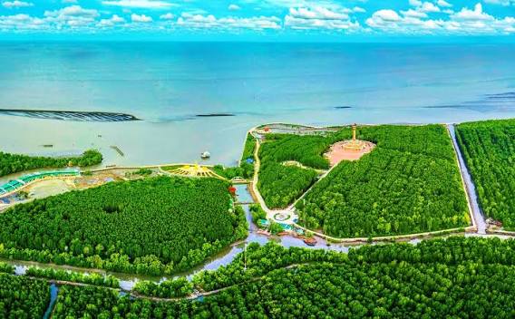 Tour Sinh Thái Cà Mau Từ An Giang | Thuê Xe An Giang Nguyễn Duy Travel